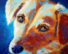 "Let Me Be The Person My Dog Thinks I Am" by Lynee Sapere - Oil